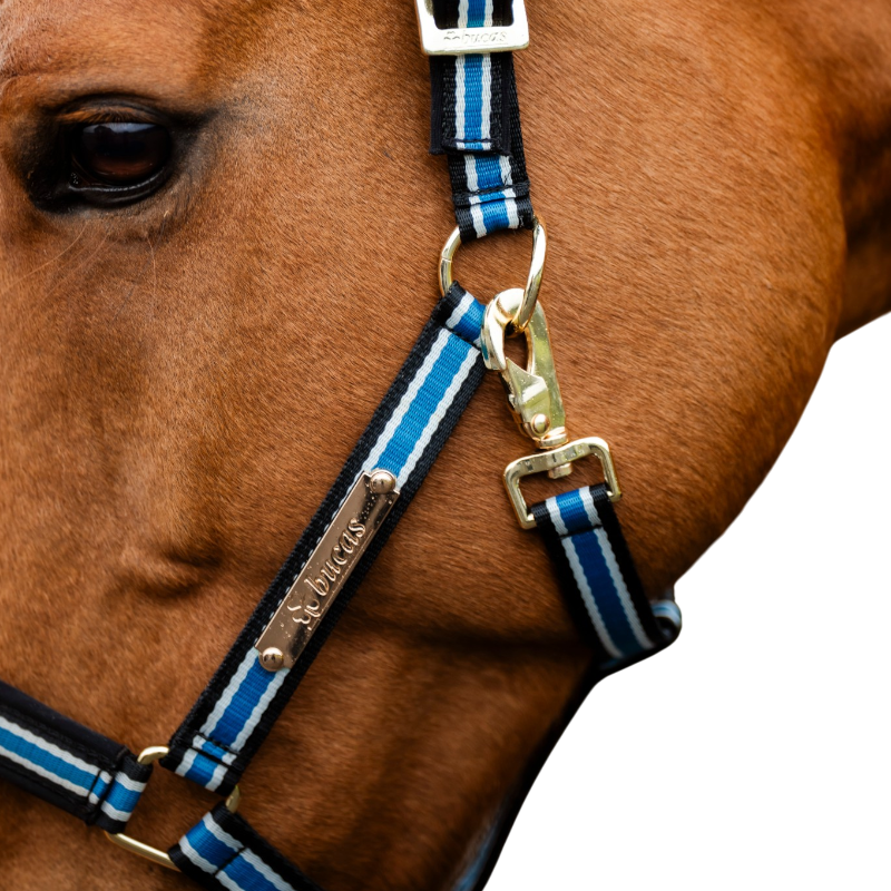 Bucas - Anniversary Halter Sapphire