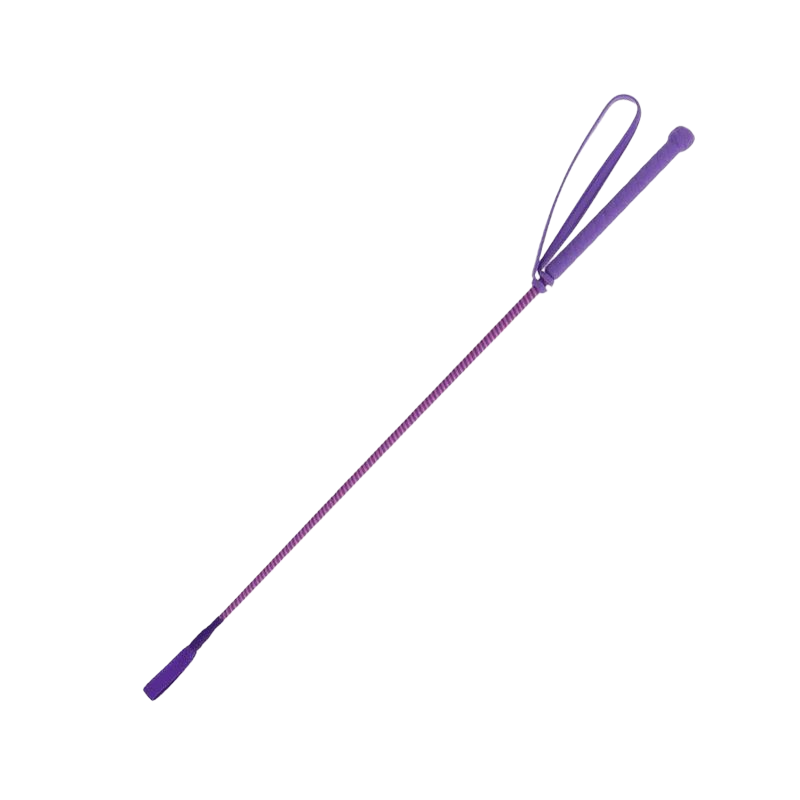 Whip & Go - New Six riding crop purple/pink | - Ohlala