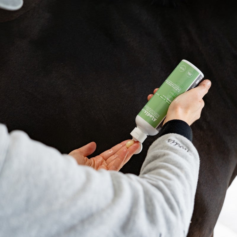 Alodis Care - Gel anti-inflammatoire Anti Choc après coup