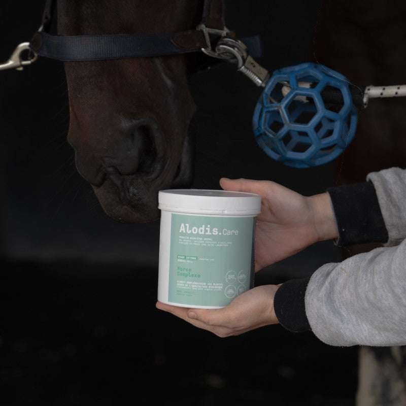 Alodis Care - Complément alimentaire en poudre état général Horse Complexe