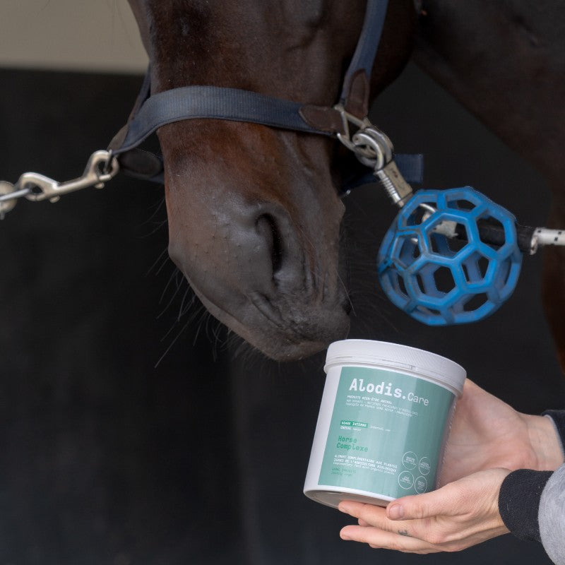 Alodis Care - Complément alimentaire en poudre état général Horse Complexe