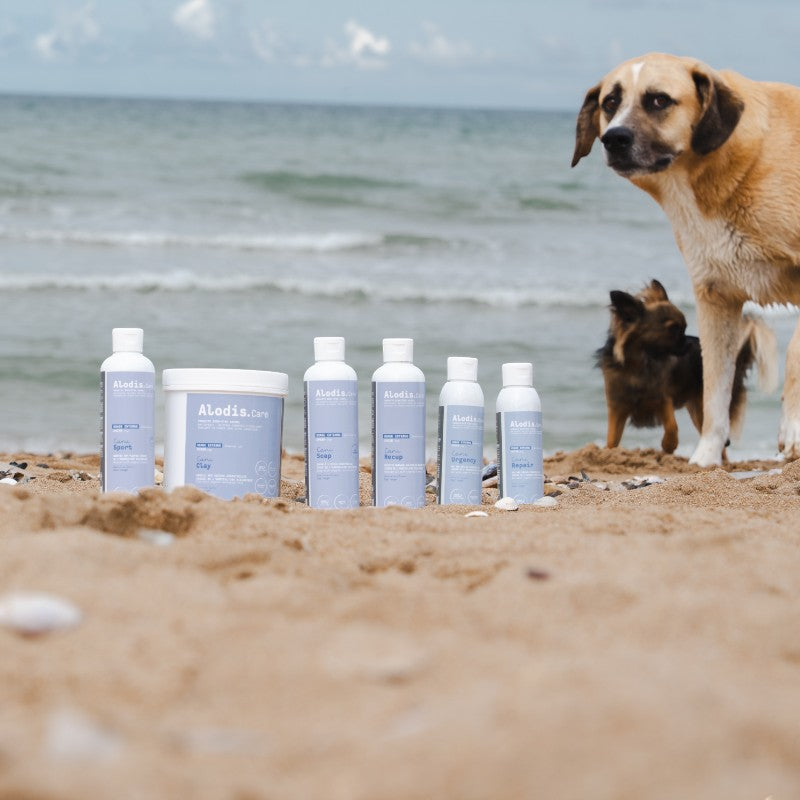 Alodis care - Argile pour chiens Cani Clay