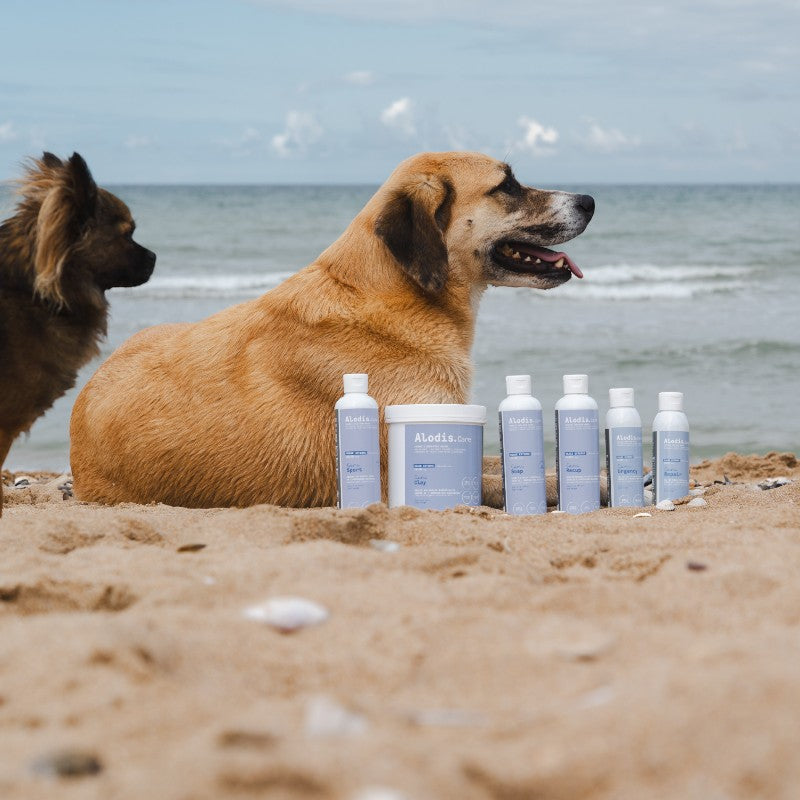 Alodis Care - Cani Massage Oil Recup for dogs