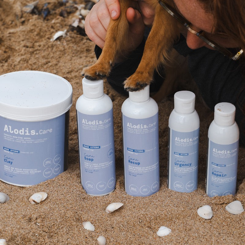 Alodis Care - Hundeshampoo für Schönheit und Fellglanz Cani Soap | - Ohlala