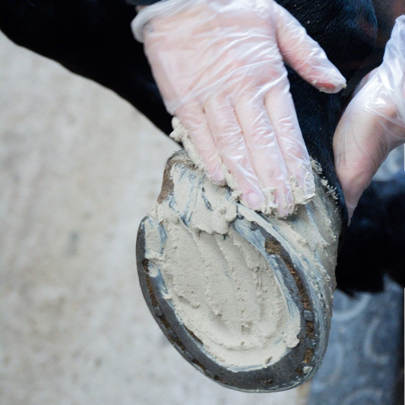 Alodis Care - Argile pour sabots Hoof Clay