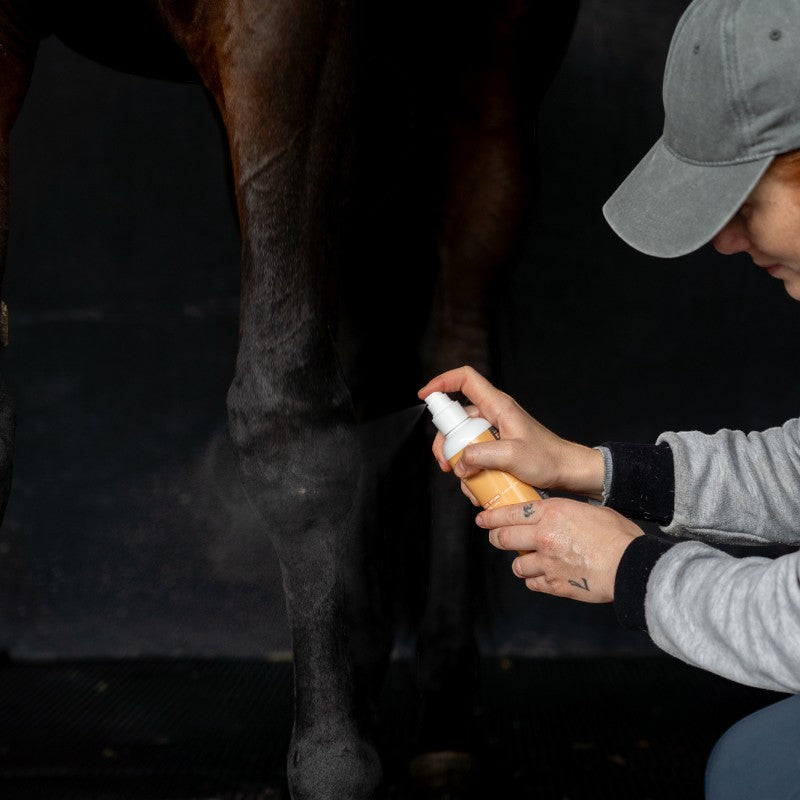 Alodis Care - Spray assainissant Top Clean | - Ohlala