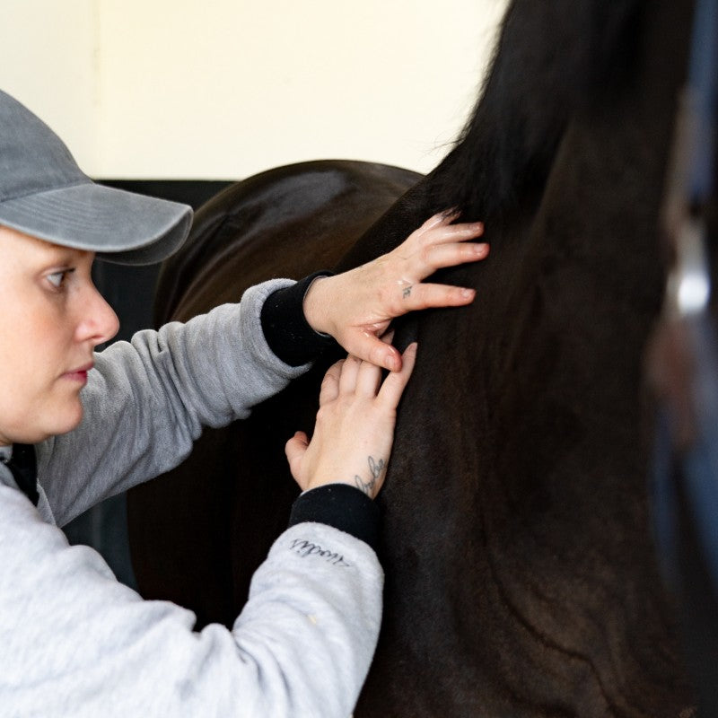 Alodis Care - Huile massante Work Recup après effort