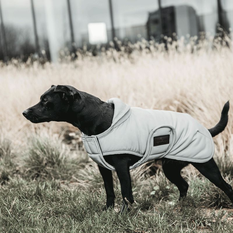 Kentucky Dogwear - Cappotto per cani riflettente & idrorepellente con patta ventrale 150g | - Ohlala