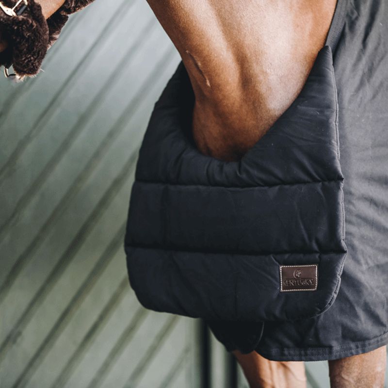 Kentucky Horsewear - Summer BIB Chest/Withers Protection black | - Ohlala