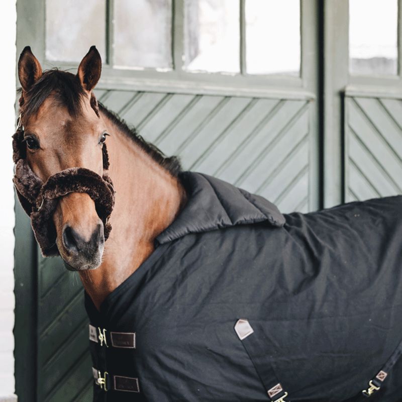 Kentucky Horsewear - Summer BIB Black Chest/Wither Protection | - Ohlala