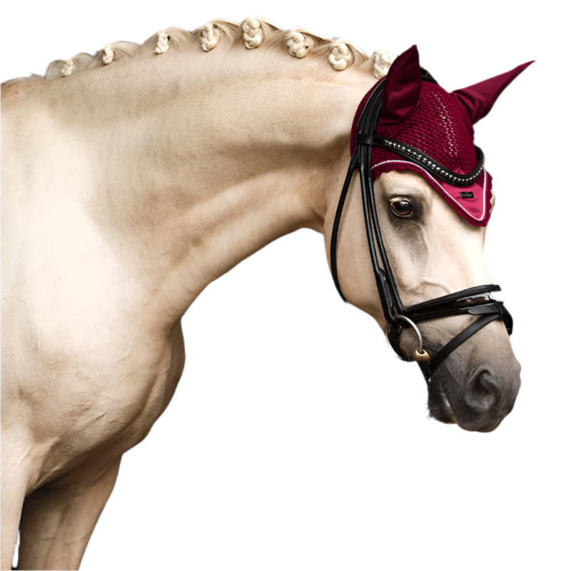 Equestrian Stockholm - Bonnet pour cheval Bordeaux | - Ohlala