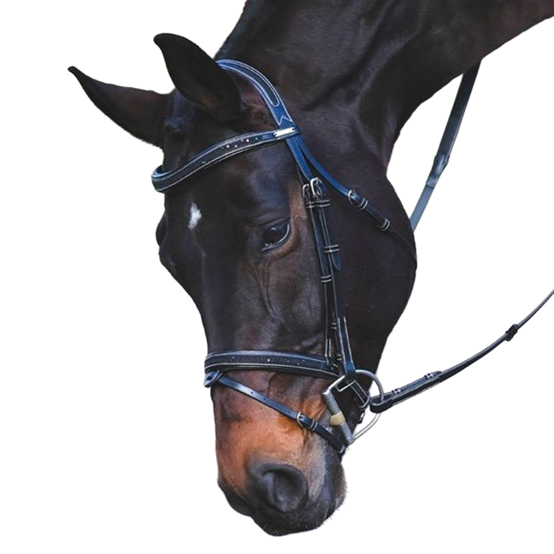 Jump'In - Carat Collection One premium bridle black | - Ohlala