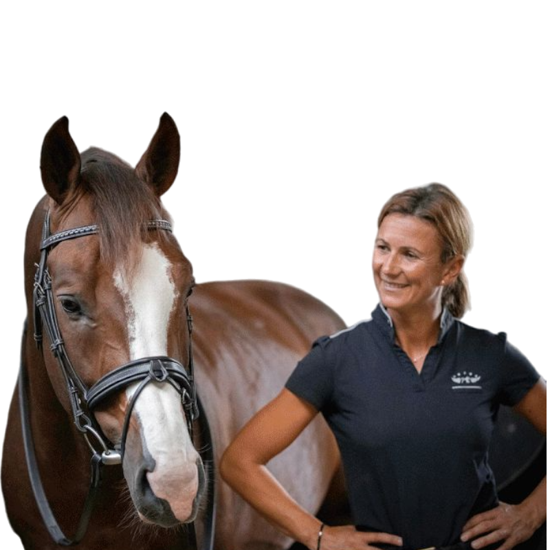 Pénélope - Bridon daily noir | - Ohlala