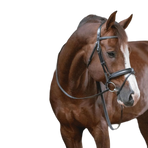 Pénélope - Black Daily Bridle | - Ohlala