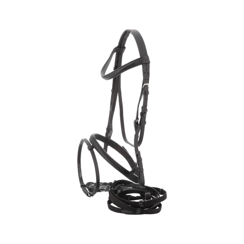 Riding World - Hoofdstel Combinatie neusriem zwart | - Ohlala