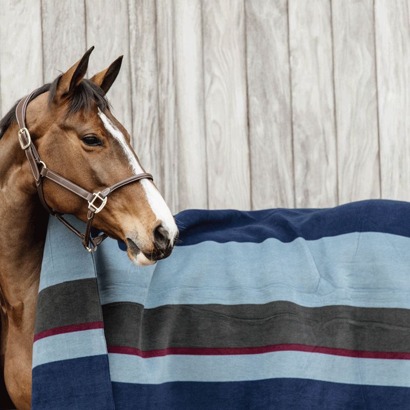 Kentucky Horsewear - Droogdeken vierkant heavy stripes marine/grijs | - Ohlala