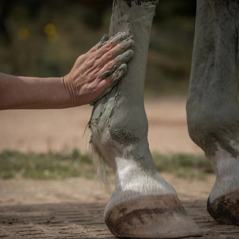 Nellumbo - Cataplasme d'argile drainage & détox | - Ohlala