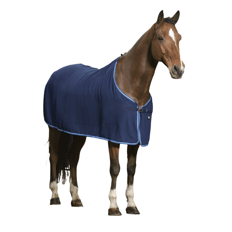 Riding World - Badstof shirt marineblauw | - Ohlala