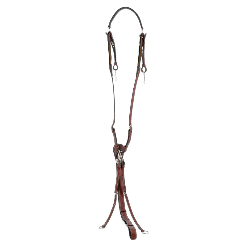 Flags & Cup - Gothenburg hunting collar brown