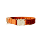 Kentucky Dogwear - Colliers pour chiens Velvet orange | - Ohlala