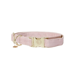 Kentucky Dogwear - Colliers pour chiens Velvet rose tendre | - Ohlala