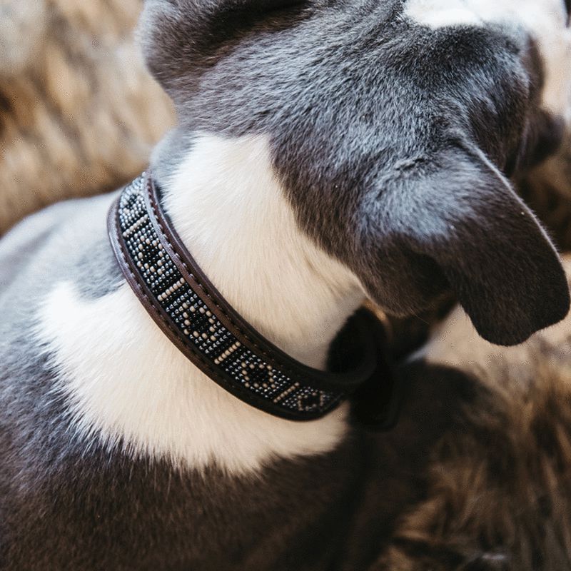 Kentucky Horsewear - Hondenhalsband handgemaakte kralen zilver | - Ohlala