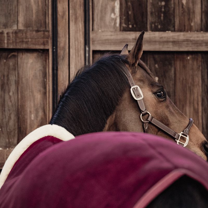 Kentucky Horsewear - Show heavy cooler rug bordeaux | - Ohlala