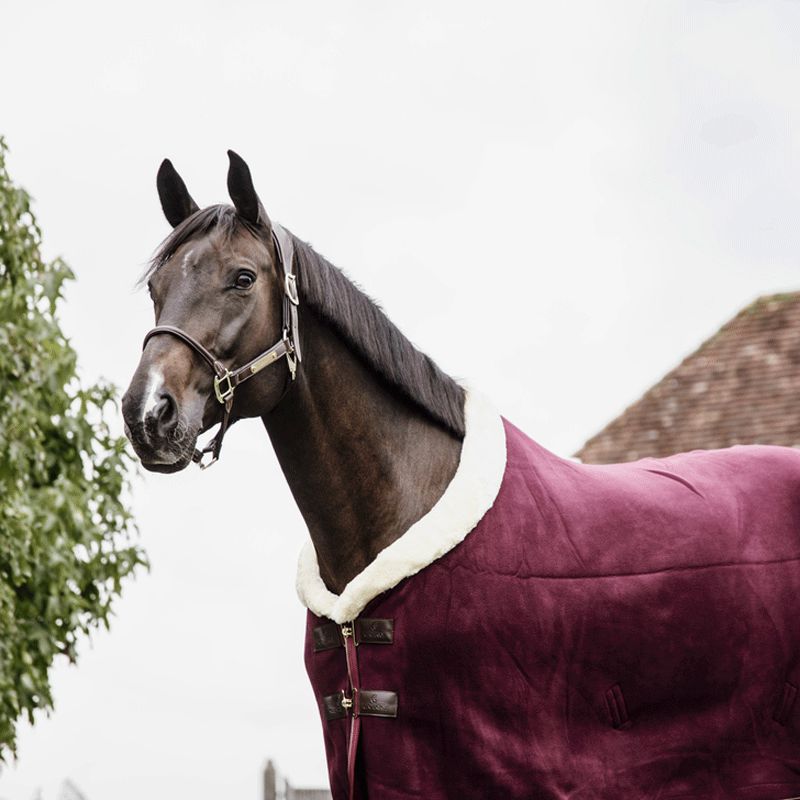 Kentucky Horsewear - Show heavy cooler rug bordeaux | - Ohlala