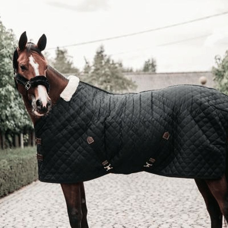 Kentucky Horsewear - 厩舎用ルーグ 400g ブラック | - Ohlala
