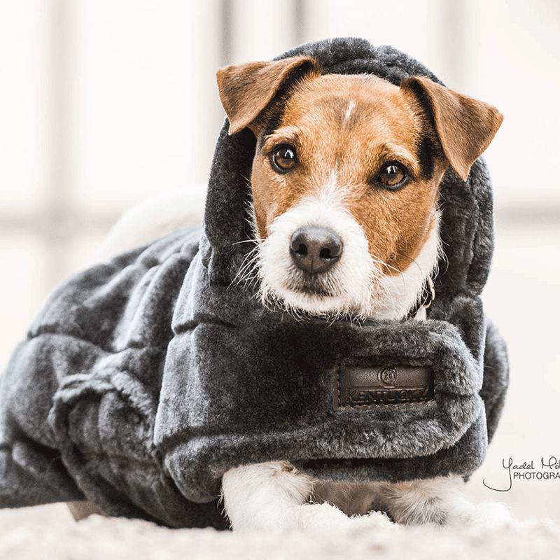 Kentucky Dogwear - Grey Faux Fur Dog Coat | - Ohlala