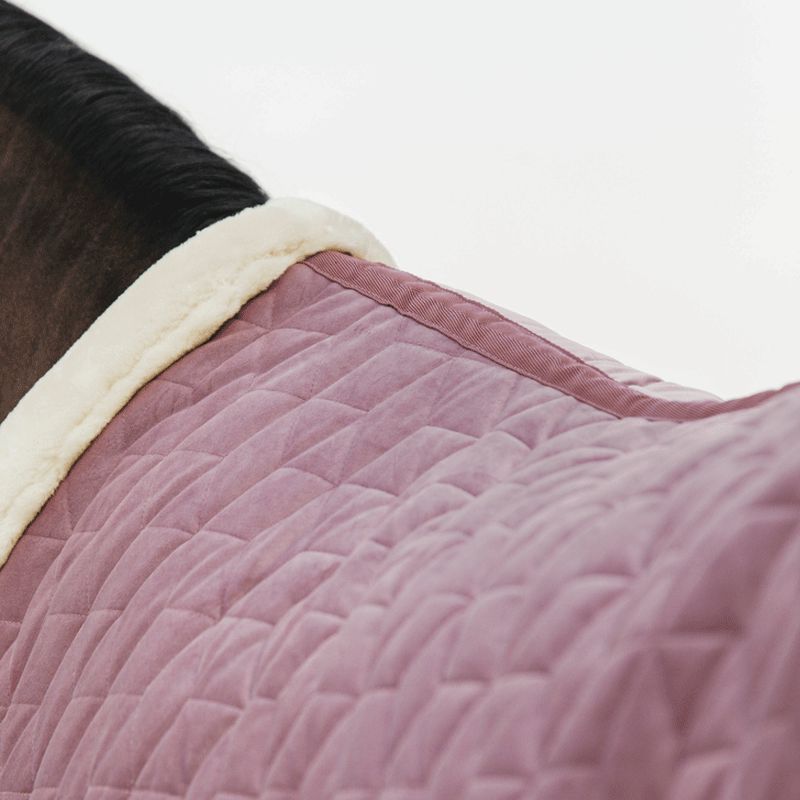Kentucky Horsewear - Velvet presentatiedeken oud roze 160g | - Ohlala