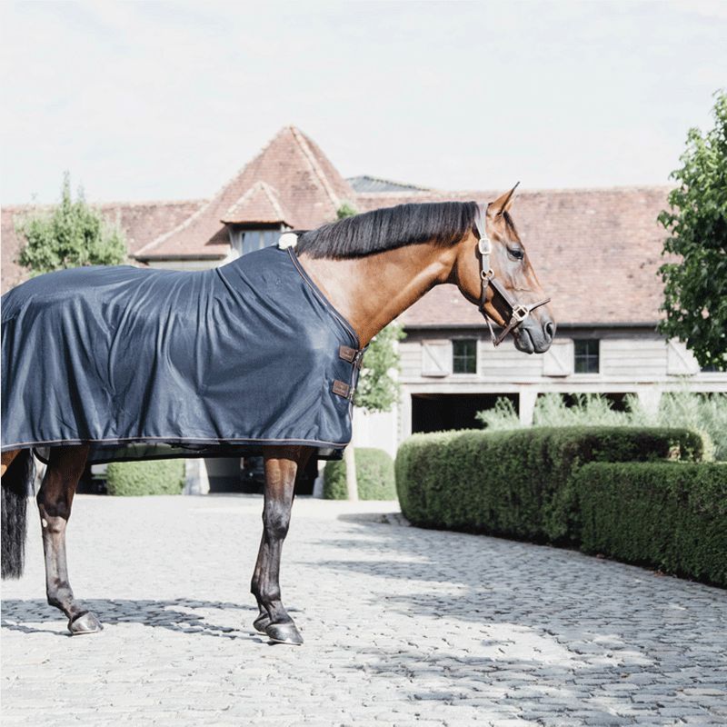 Kentucky Horsewear - Marine fly sheet | - Ohlala