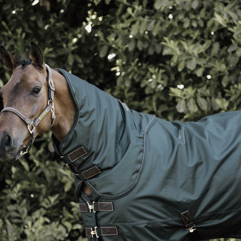 Kentucky Horsewear - Halshülle All Weather 150g Grün | - Ohlala