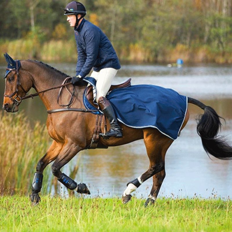 Horseware - Nierendecke Rambo wasserdicht marine | - Ohlala