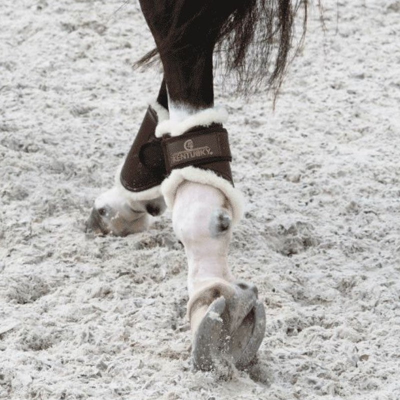 Kentucky Horsewear - Protector de menudillo turnout cuero marrón | - Ohlala