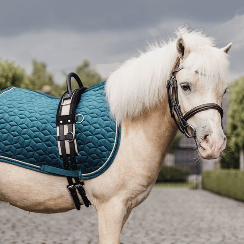 Kentucky Horsewear - Zadeldek Velvet Jumping Smaragd voor Mini's | - Ohlala