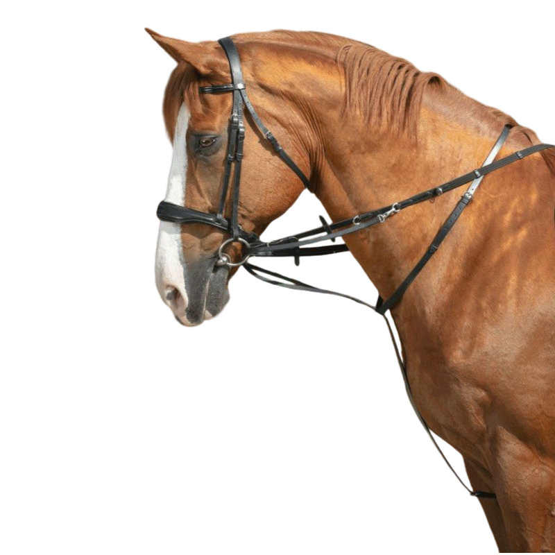 Norton pro - Enrênement Thiedeman noir | - Ohlala