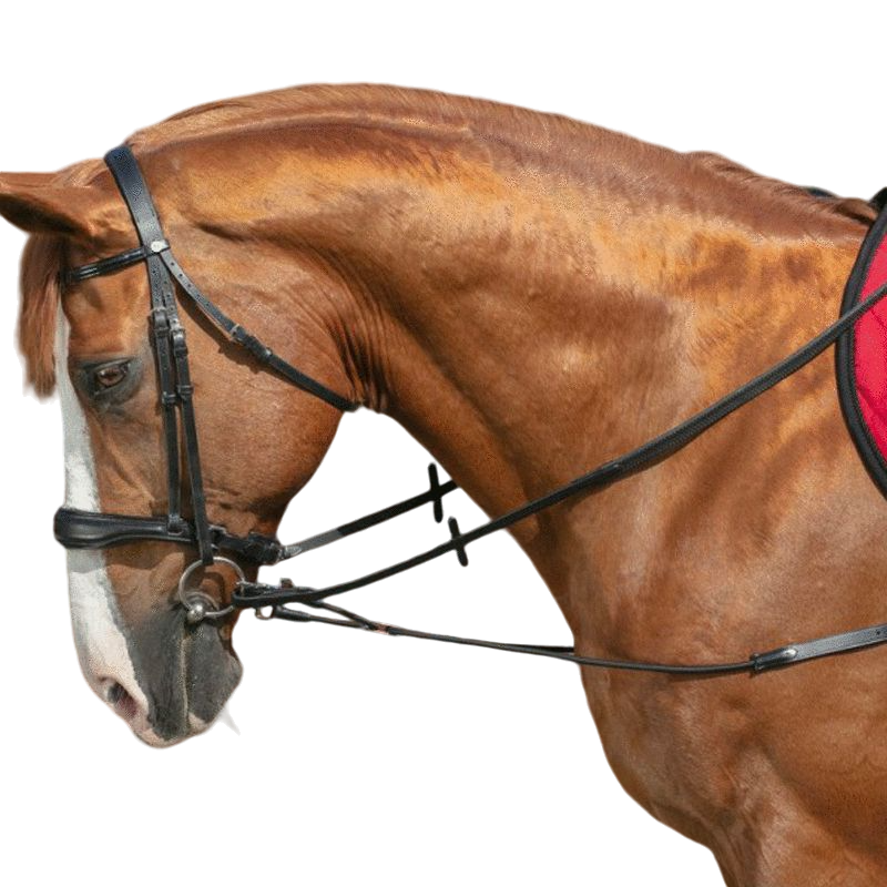 Norton - Enrênement élastique court/poulies noir | - Ohlala