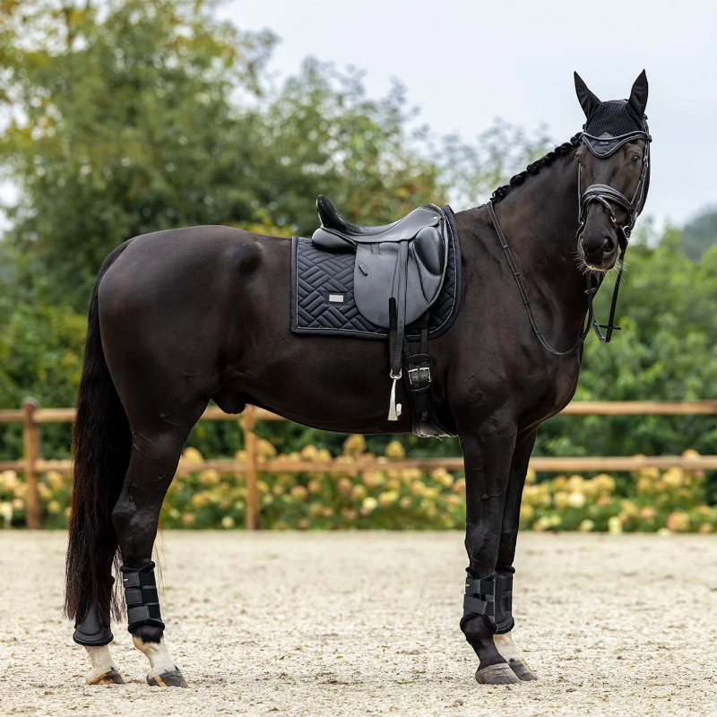 Equestrian Stockholm - Dressuurpad Modern zwart | - Ohlala