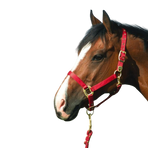 Equithème - Licol en nylon rouge | - Ohlala