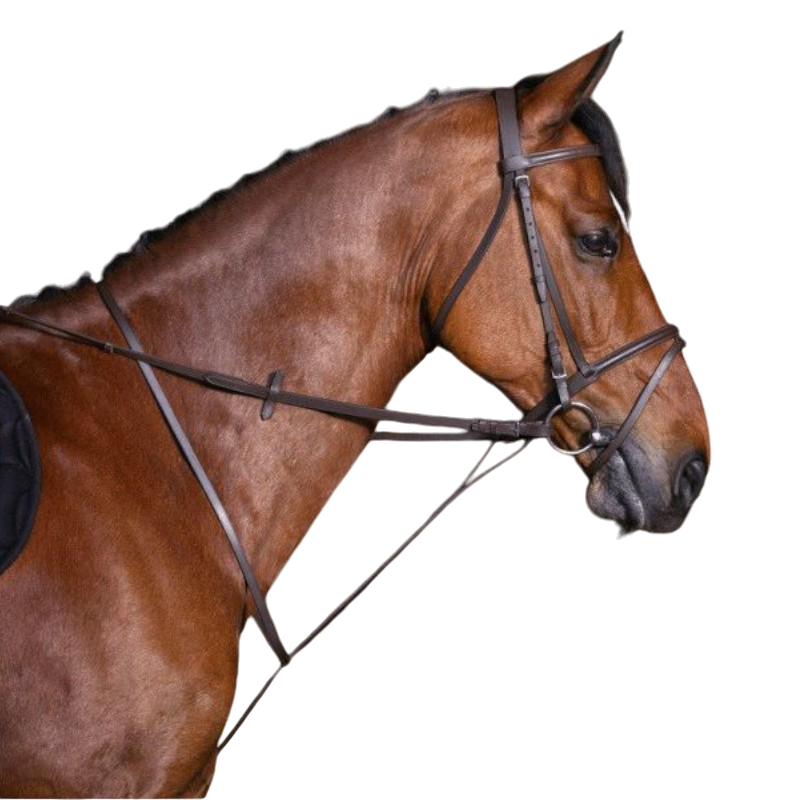 Riding World - Martyngał pierścieniowy hawana | - Ohlala