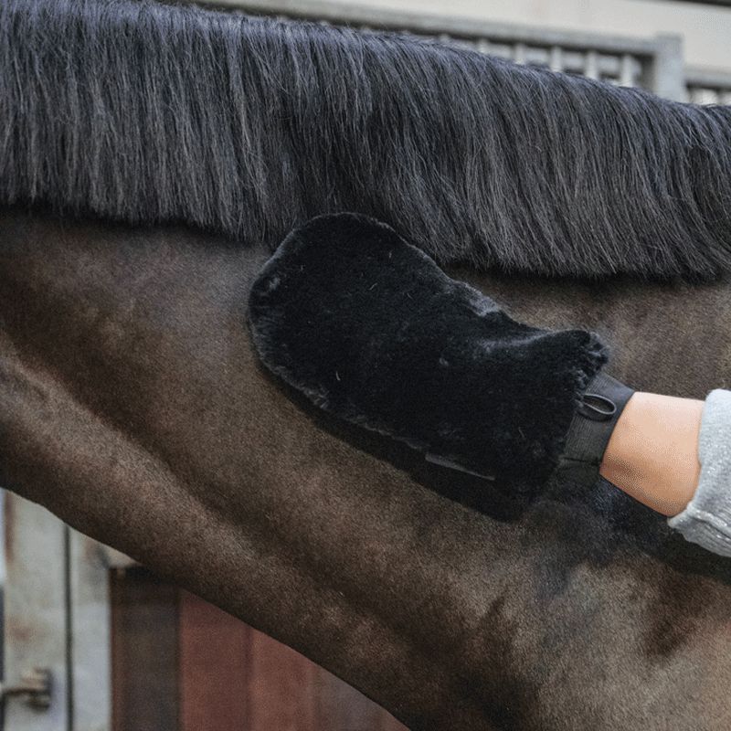 Grooming Deluxe - Black sheepskin grooming mitt | - Ohlala