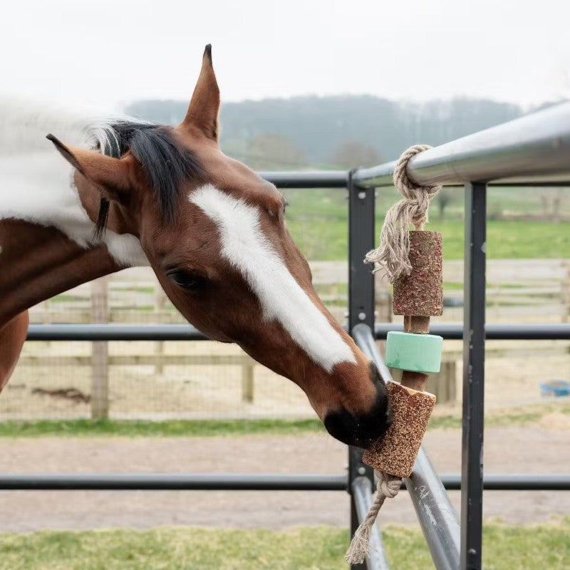 Grooming Deluxe - Jouet en bois relaxant pour cheval avec pierre à sel Airways