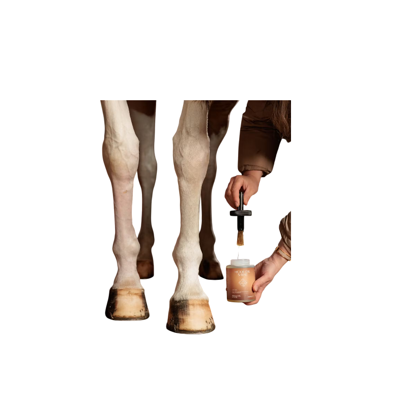 Grooming Deluxe - Natural Hoof Shine Oil | - Ohlala