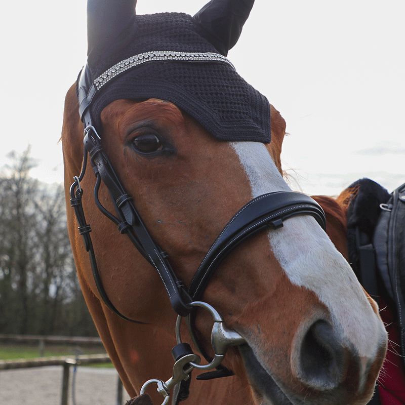 Kentucky Horsewear - Bonnet Wellington negro | - Ohlala
