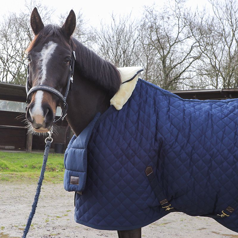 Kentucky Horsewear - Summer BIB Brust-/Widerristschutz Marine | - Ohlala