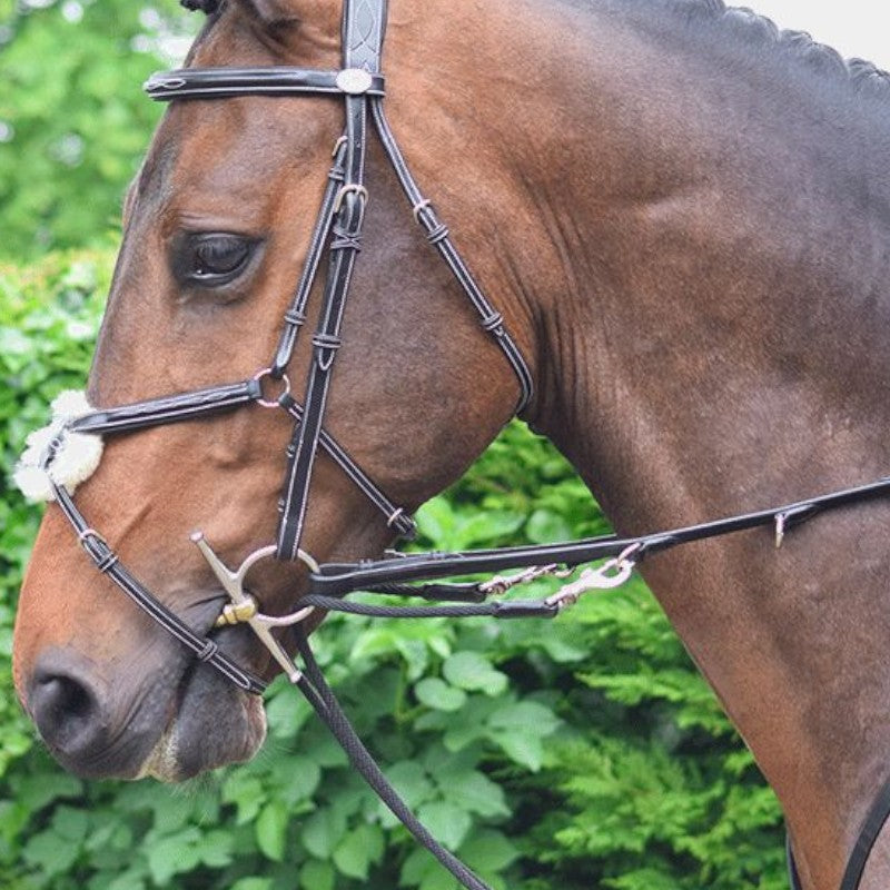 Jump'in - Howlett Week martingale | - Ohlala