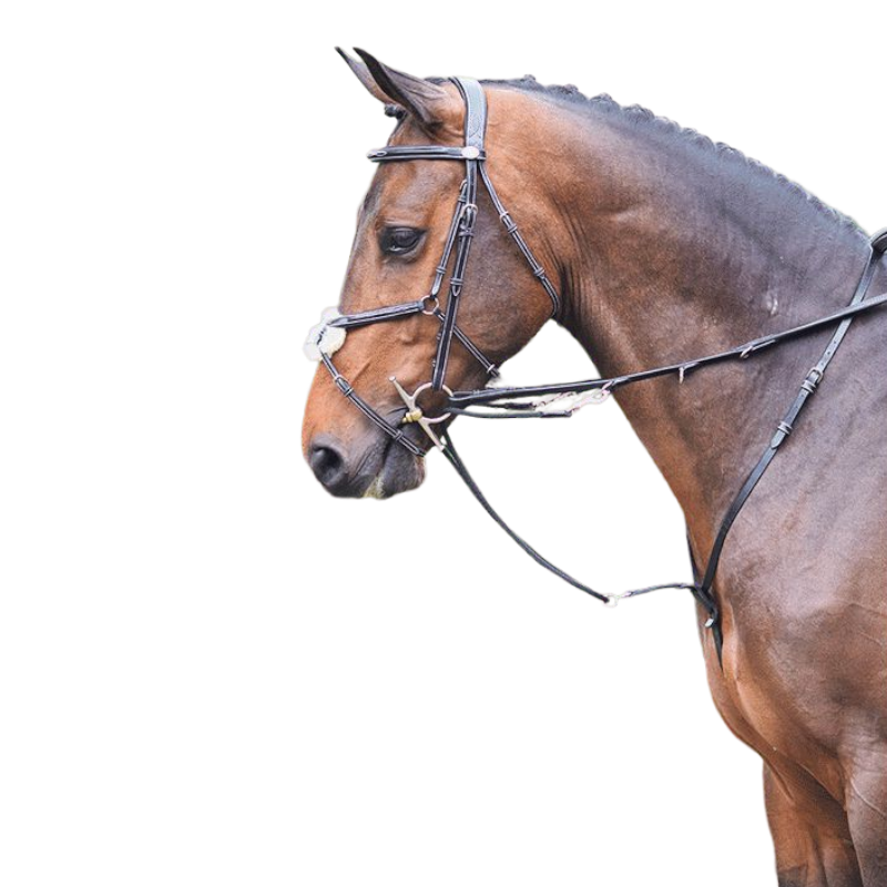Jump'in - Howlett Week martingale | - Ohlala