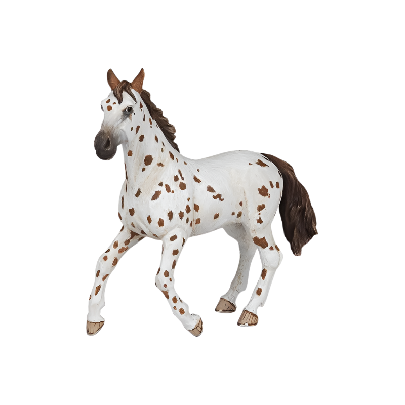 PAPO - Appaloosa mare | - Ohlala