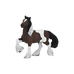 PAPO - Bay Irish COB | - Ohlala